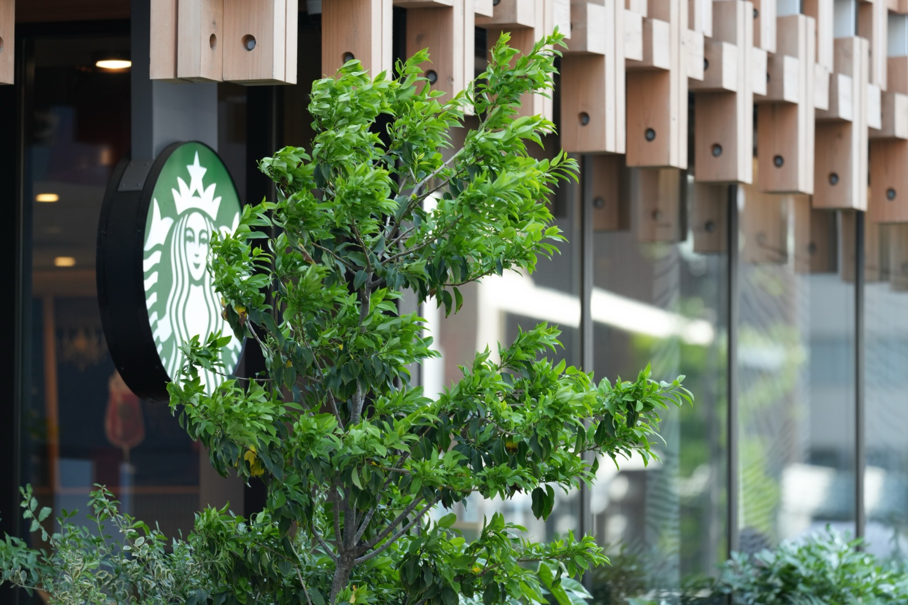 少し遠くのコーヒーショップの看板の写真