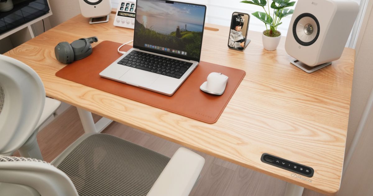 セットアップ済みのRasical Desk
