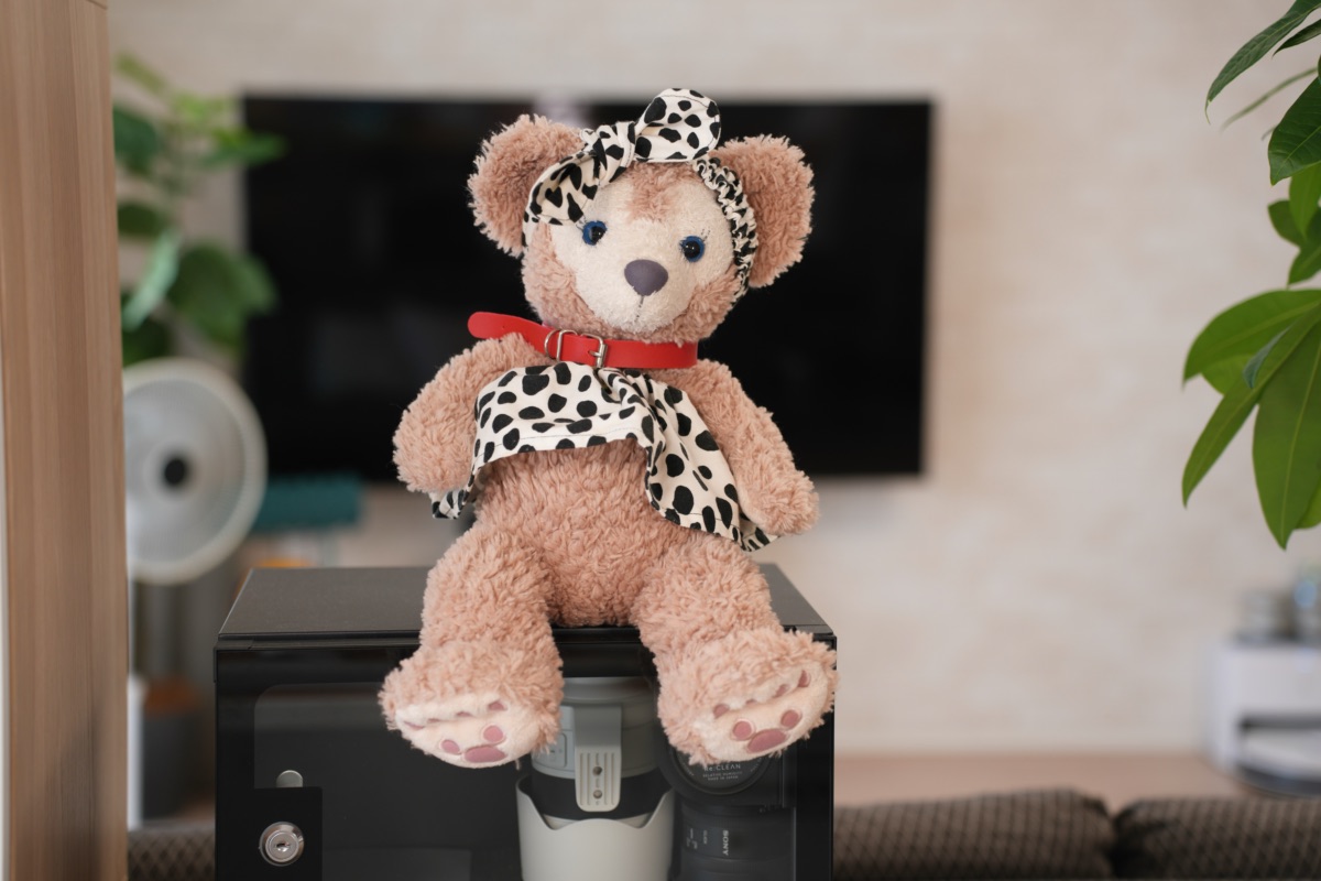 自然なライティングがされたクマのぬいぐるみ