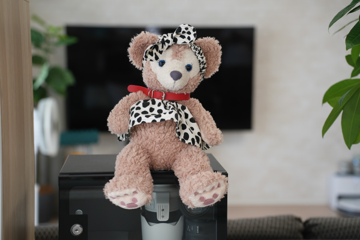 7000Kで照らしたクマのぬいぐるみ