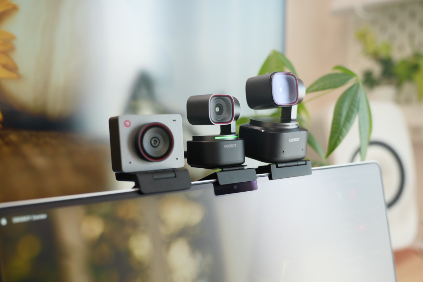 MacBookのモニターの上に並ぶ、OBSBOT MEET2、TINY3、TINY2