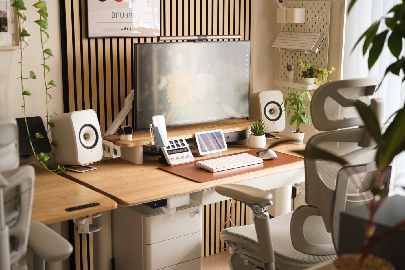 窓からの光に照らされるCOFO Desk Studio